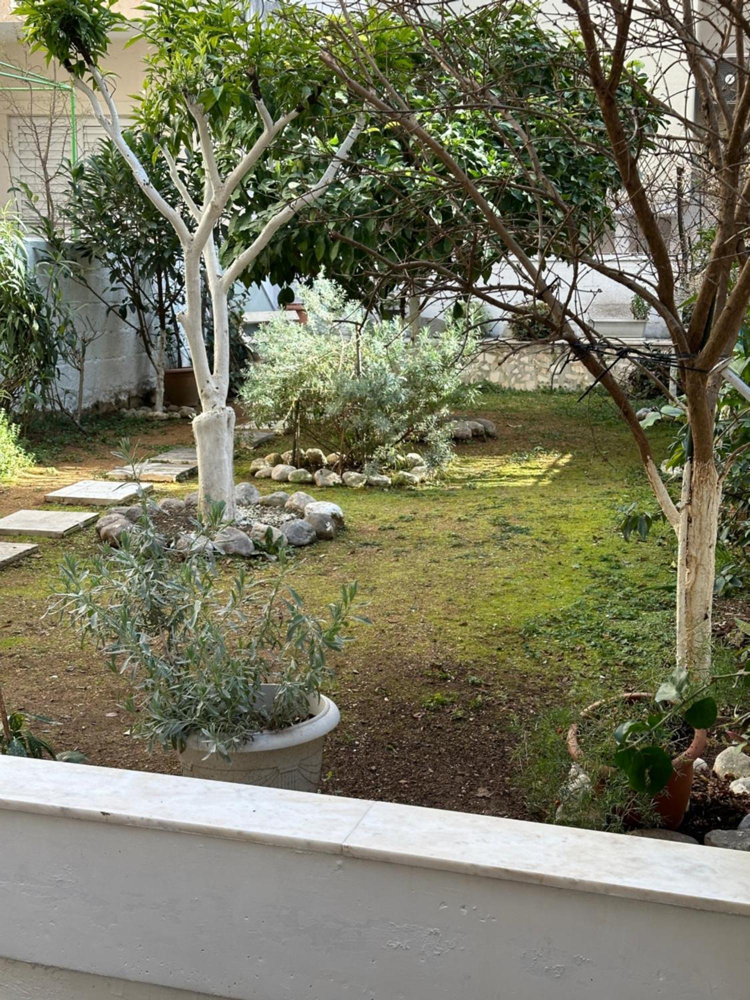 이오아니아 Νόστος Στο Κέντρο Των Ιωαννίνων 아파트 외부 사진